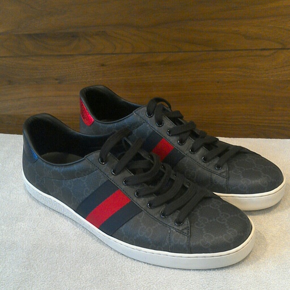 new ace webbed low top sneaker